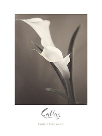 Framed Callas Print