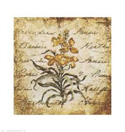 Framed Yellow Petit Botanical Print