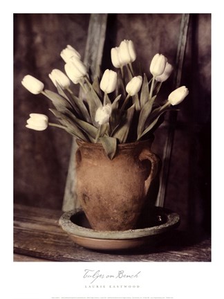 Framed Tulips on Bench Print