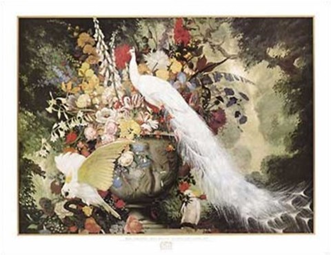 Framed White Peacock, Cockatoos Print
