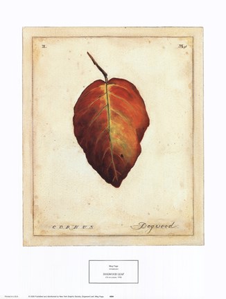 Framed Dogwood Leaf Print