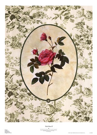 Framed Toile Rose II Print
