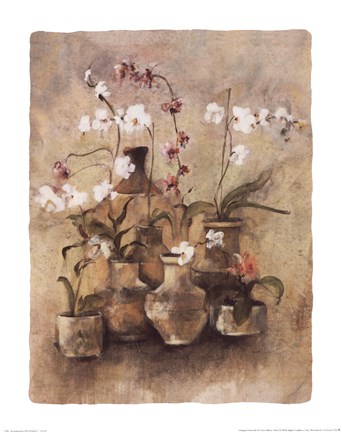 Framed Arrangement of Orchids I-11x14 Print