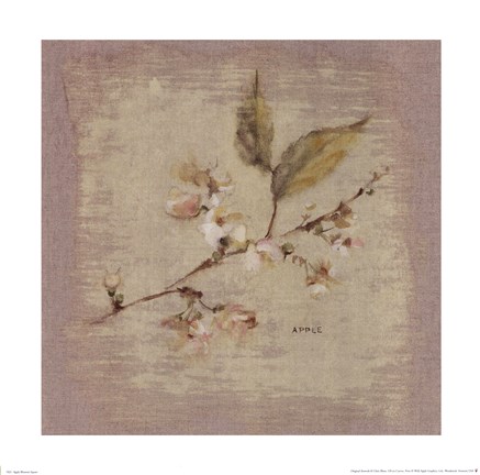 Framed Apple Blossom Square Print
