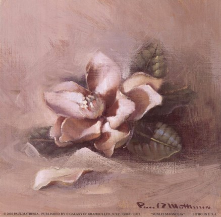 Framed Sunlit Magnolia Print