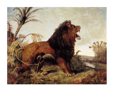 Framed Lion in the Jungle Print