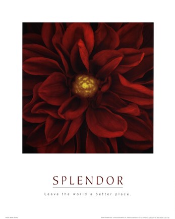 Framed Splendor - Red Pool Print