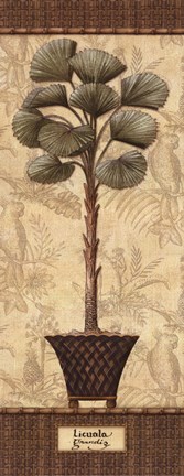 Framed Botanical Palm I - Mini Print