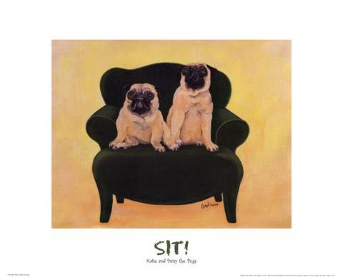 Framed Katie And Daisy The Pugs Print