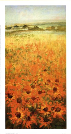 Framed Field With Sunflowers Print