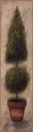 Framed Tall Cedar Cone Print