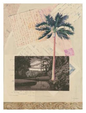 Framed San Saba Print