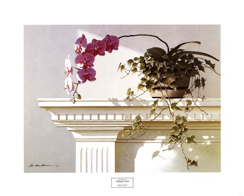 Framed Mantelpiece Orchid Print