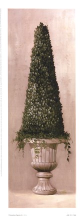 Framed Florentine Topiary ll Print