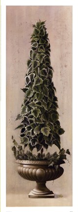 Framed Florentine Topiary l Print