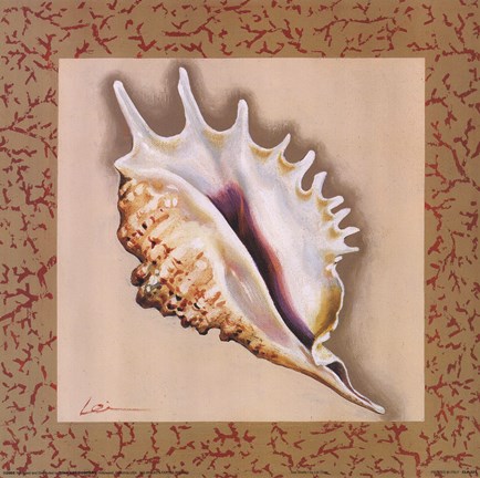 Framed Sea Shells I Print