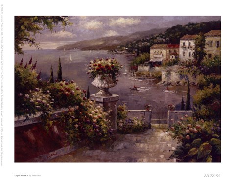 Framed Capri Vista II Print