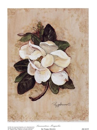 Framed Summertime Magnolia Print