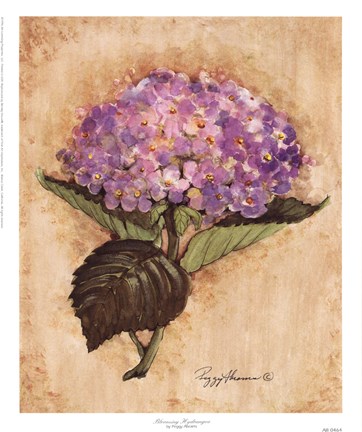 Framed Blooming Hydrangea Print