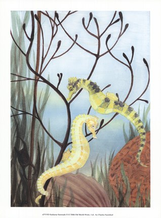 Framed Seahorse Serenade II Print