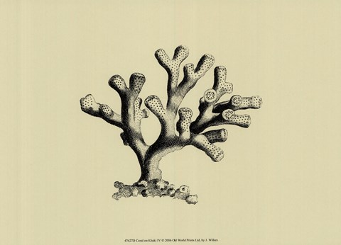 Framed Coral On Khaki IV Print