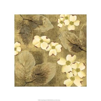 Framed Sun-Kissed Dogwoods I Print