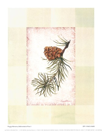 Framed Adirondack Pine l Print