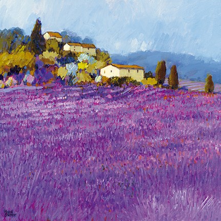 Framed Wild Lavender, Provence Print