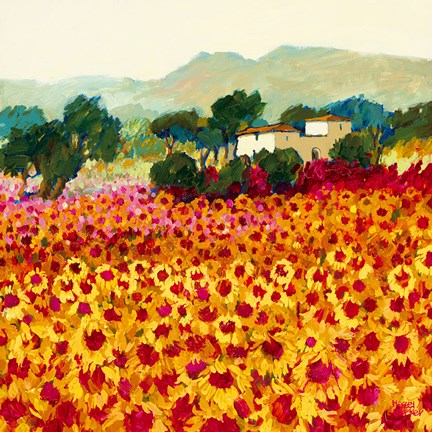 Framed Sunflower Sunset, Tuscany Print