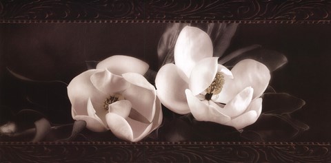 Framed Soft Magnolias I Print