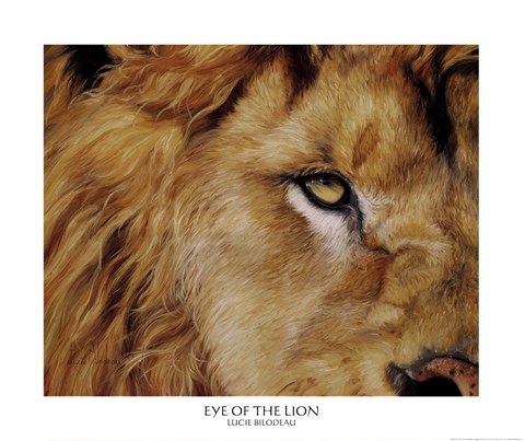 Framed Eye of the Lion Print