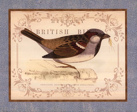 Framed British Birds III Print