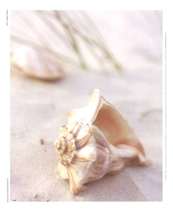 Framed Sandy Beach III Print