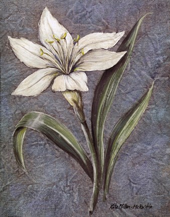 Framed White Lilly Print
