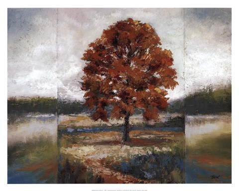Framed Evening Oak Print