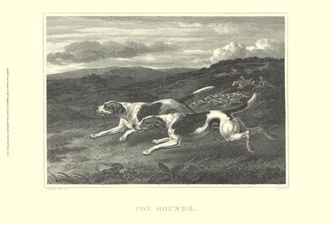 Framed Foxhounds Print