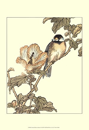 Framed Oriental Bird On Branch I Print