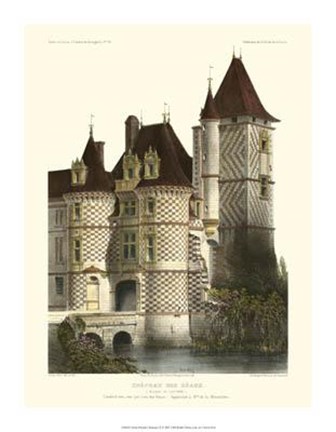 Framed Petite French Chateaux X Print