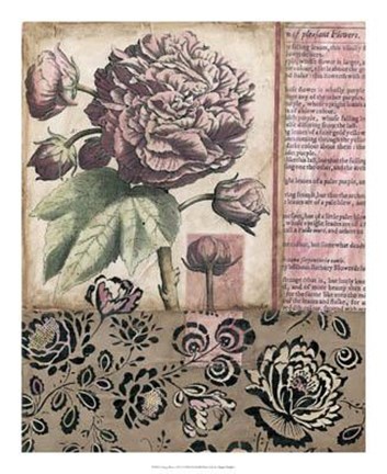 Framed Cottage Rose I Print