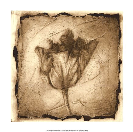 Framed Floral Impression II Print