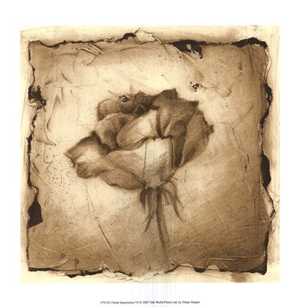 Framed Floral Impression VI Print