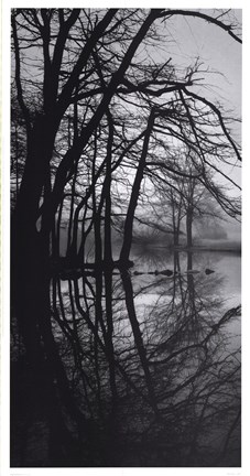 Framed Caumsett Pond Print