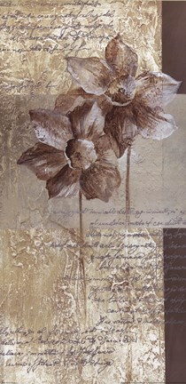 Framed Les Fleur Elegant I Print