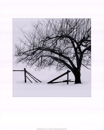 Framed Snow Bound Print