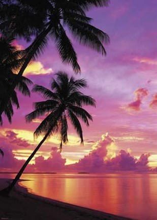 Framed Tahitian Sunset Print