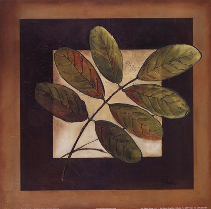 Framed Leaves Over Brown II Print