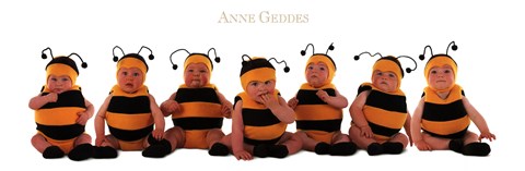 Framed Bumblebee Babies Print