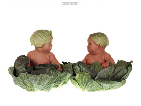 Framed Cabbage Kids Print