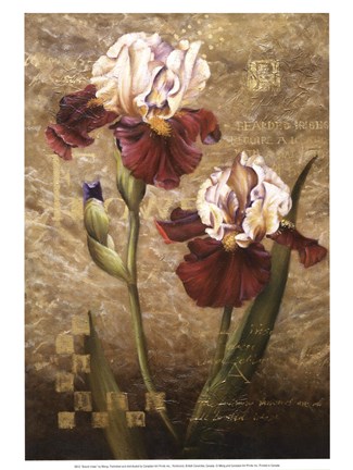 Framed Grand Irises Print