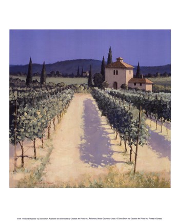 Framed Vineyard Shadows Print